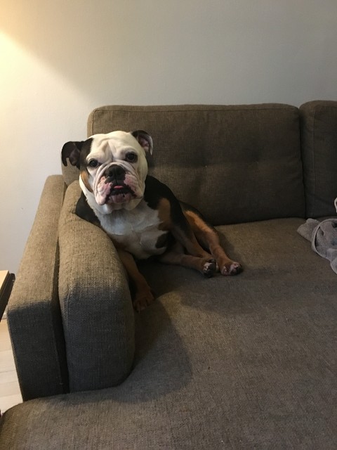 3EA08EF6-3C84-447A-A21E-18C03F844E06